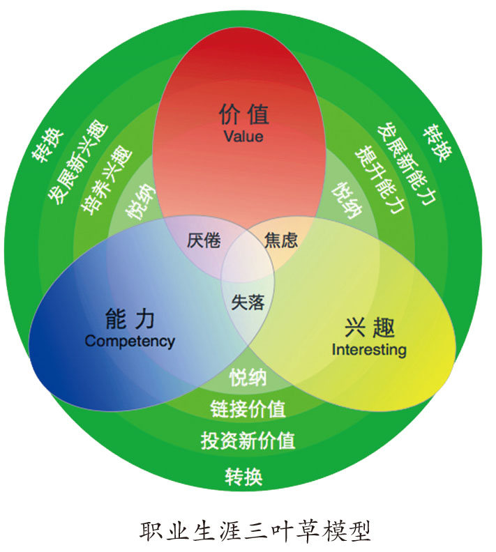 三叶草模型选专业