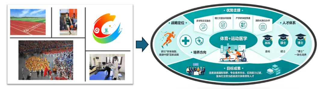 东南大学运动训练专业