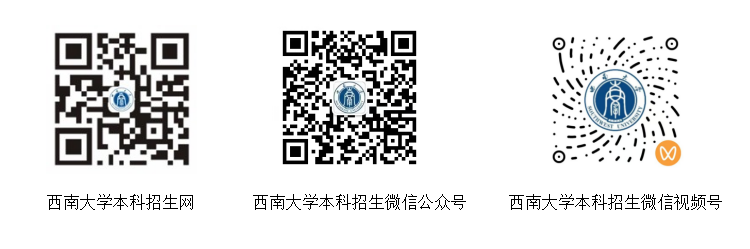 西南大学本科招生